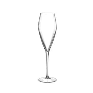 Denby Wine Club Set of 6 Champagne Flutes