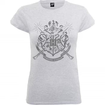 Harry Potter Draco Dormiens Nunquam Titillandus Womens Grey T-Shirt - S - Grey