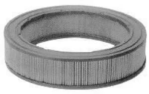 Champion W209 CAF100209R Air Filter Insert