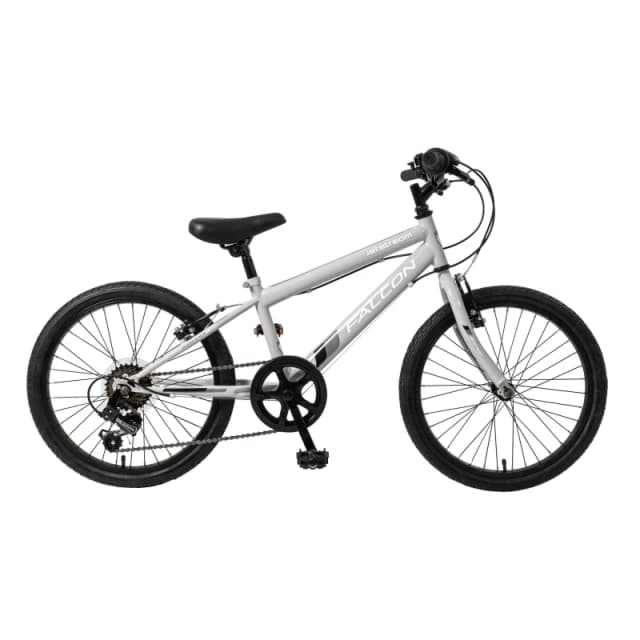Falcon Falcon Jetstream 20 Childrens Bike" Male VI38401
