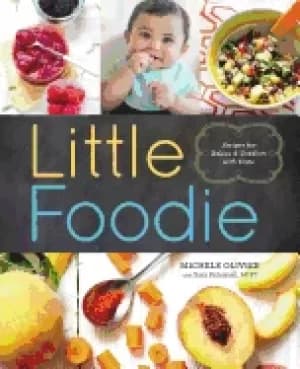little foodie baby food recipes for babies and toddlers with taste