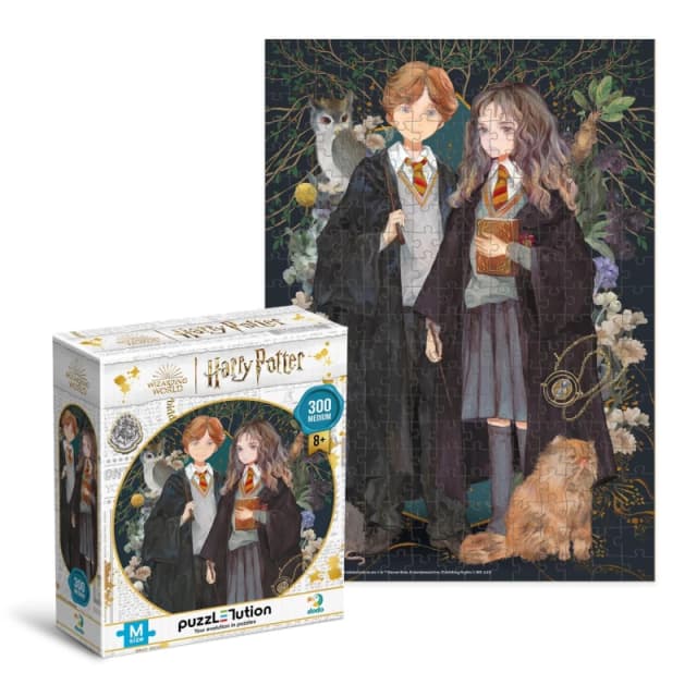 DODO Harry Potter Puzzle Hermione and Ronald - Medium Multi