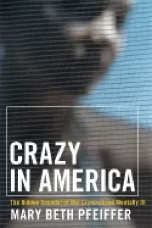crazy in america the hidden tragedy of our criminalized mentally ill