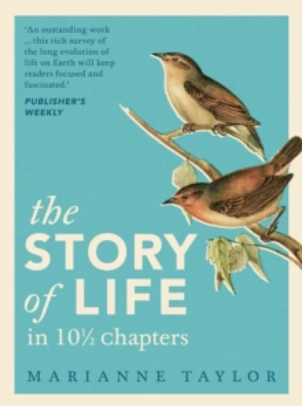 The Story of Life in 10 Chapters Hardback