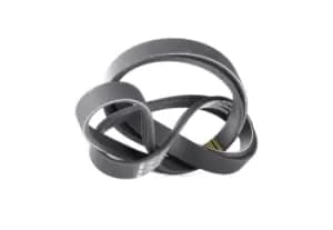 Bosch V-ribbed belt OPEL,FIAT,SUZUKI 1 987 946 236 55350421,55350421,55350421 6340606,1752162G00,1752177E00,1752177E10,1752177E20,55350421