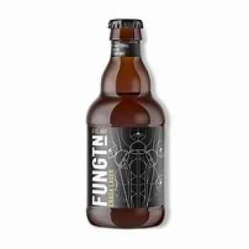 Fungtn Chaga Lager - 330ml