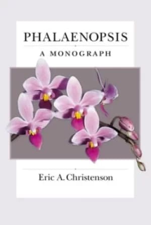 Phalaenopsis by Eric A Christenson