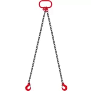 VEVOR 2m x 2 Leg x 8mm Lifting Chain Sling 2 Tonne High Temperature Resistance Wearproof G80