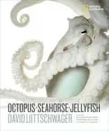 octopus seahorse jellyfish