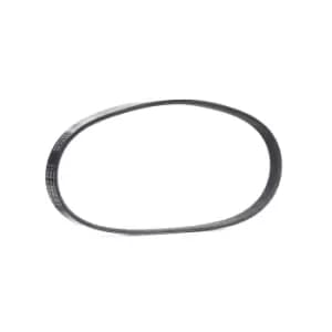 RIDEX V-ribbed belt 305P0502 Serpentine belt,Auxiliary belt OPEL,FORD,FIAT,COMBO Kasten/Kombi (X12),Combo Combi / Tour (X12),KA (RU8)