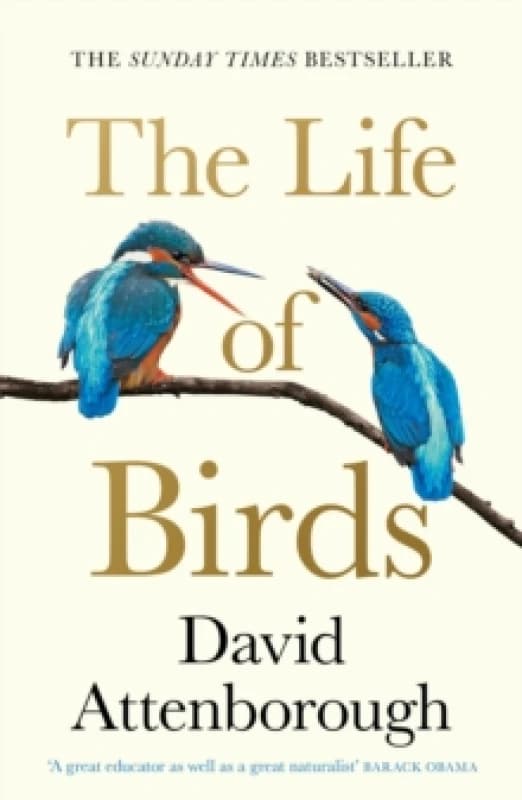 The Life of Birds Paperback / softback