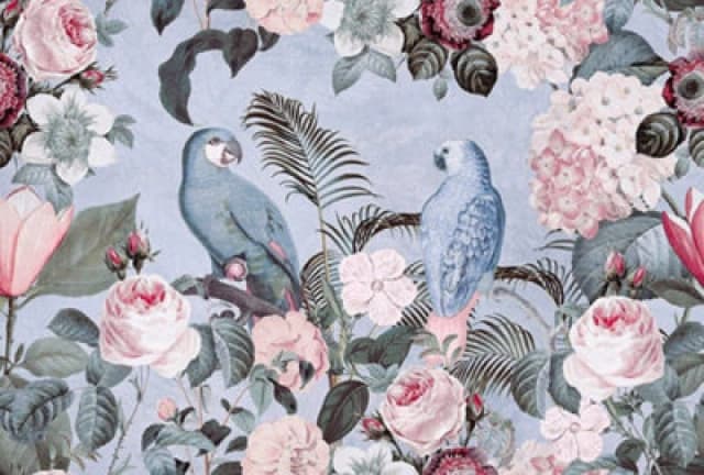 As Creation Jungle Rendevous 2 Digital Mural 400Cm X 270Cm