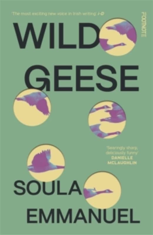 Wild Geese : the LAMBDA and GORDON BOWKER VOLCANO PRIZE winner Paperback / softback