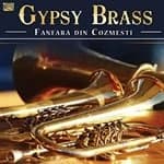 Fanfara Din Cozmesti - Gypsy Brass from Romania (Music CD)