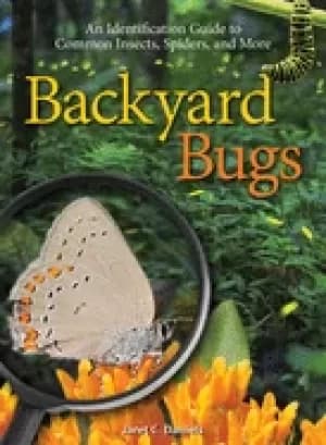 backyard bugs an identification guide to common insects spiders and more