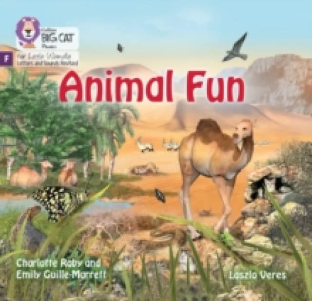 Animal Fun : Foundations for Phonics Paperback / softback