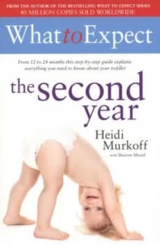 The Second Year by Heidi Murkoff Paperback