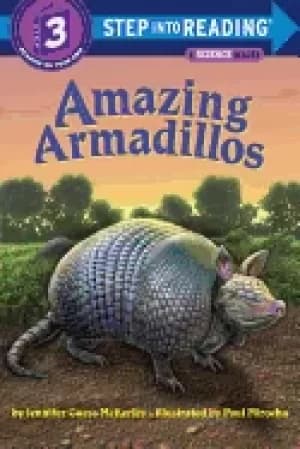 amazing armadillos