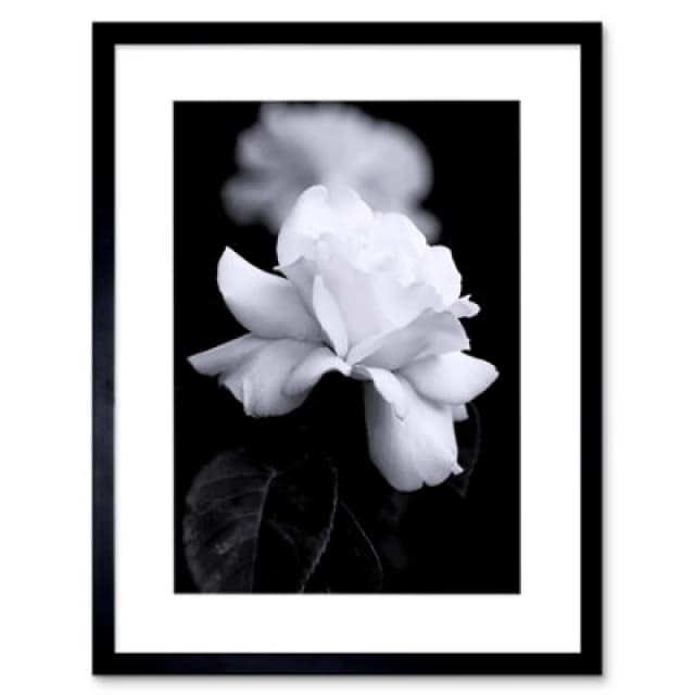 Artery8 Photo Nature Black White Rose Petal Flower 12X16" Framed Wall Art Print