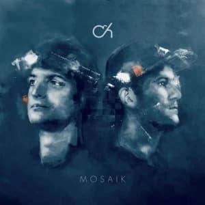 MOSAIK by Camo and Krooked CD Album