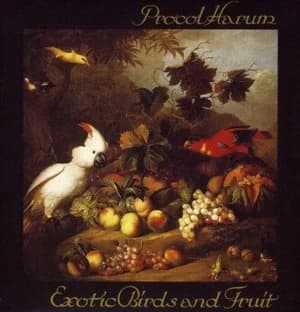 Exotic Birds and Fruit by Procol Harum CD Album