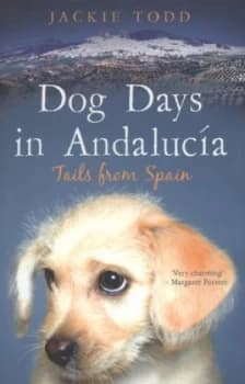 Dog Days in Andaluca by Jackie Todd Paperback