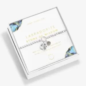 Spirit Stones Labradorite Silver 17.5cm Stretch Bracelet 6351