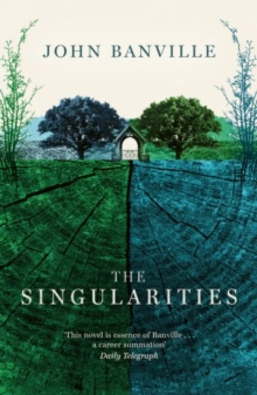 The Singularities Paperback / softback