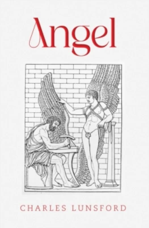 Angel. Paperback. By Charles Lunsford Books