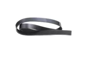 RIDEX V-ribbed belt 305P0396 Serpentine belt,Auxiliary belt OPEL,FORD,RENAULT,Astra J Sports Tourer (P10),ASTRA J,Mokka / Mokka X (J13),Meriva B (S10)