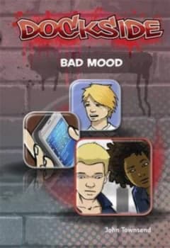 Bad Mood by John Townsend Paperback