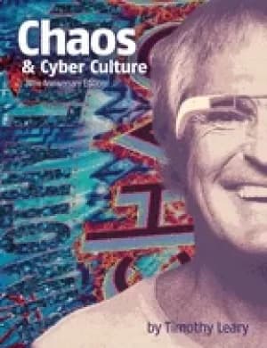 chaos and cyber culture