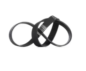 Bosch V-ribbed belt FORD,PEUGEOT,TOYOTA 1 987 947 937 5750D9,5750E6,5750J1 46412707,500345344,71739928,99461393,1011697,1654387,6738365,6738366,5750D9