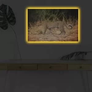 4570DHDACT-091 Multicolor Decorative LED Lighted Canvas Painting