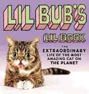 lil bubs lil book the extraordinary life of the most amazing cat on the pla