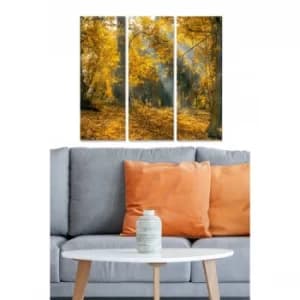 MDF2444046 Multicolor Decorative MDF Painting (3 Pieces)