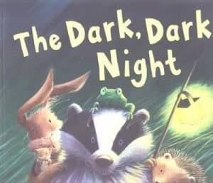 The Dark Dark Night by M. Christina Butler and Jane Chapman Paperback