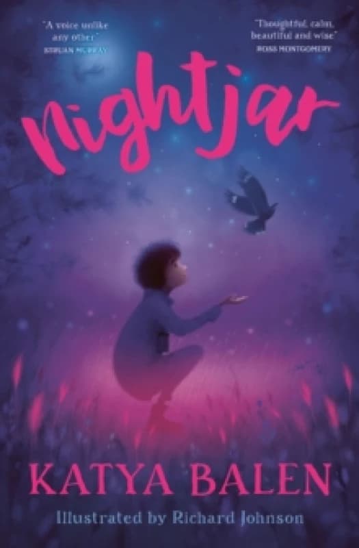 Nightjar Paperback / softback