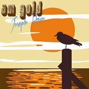Joseph Hein - AM Gold Vinyl