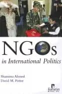 ngos in international politics