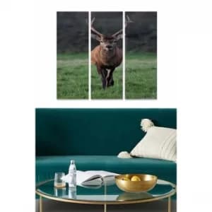 MDF2168278 Multicolor Decorative MDF Painting (3 Pieces)