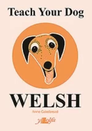 teach your dog welsh