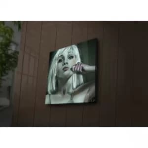 4040?ACT-51 Multicolor Decorative LED Lighted Canvas Painting