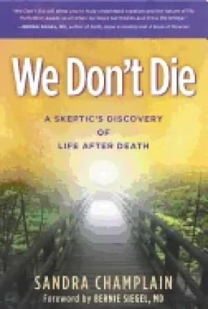 we dont die a skeptics discovery of life after death