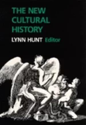 new cultural history essays
