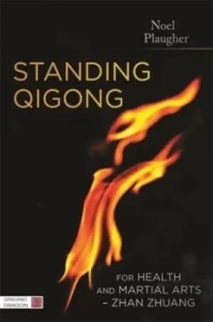 Standing Qigong for health and martial arts Zhan Zhuang by Noel Plaugher