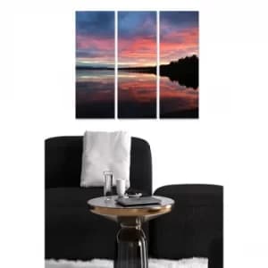 MDF3814381 Multicolor Decorative MDF Painting (3 Pieces)