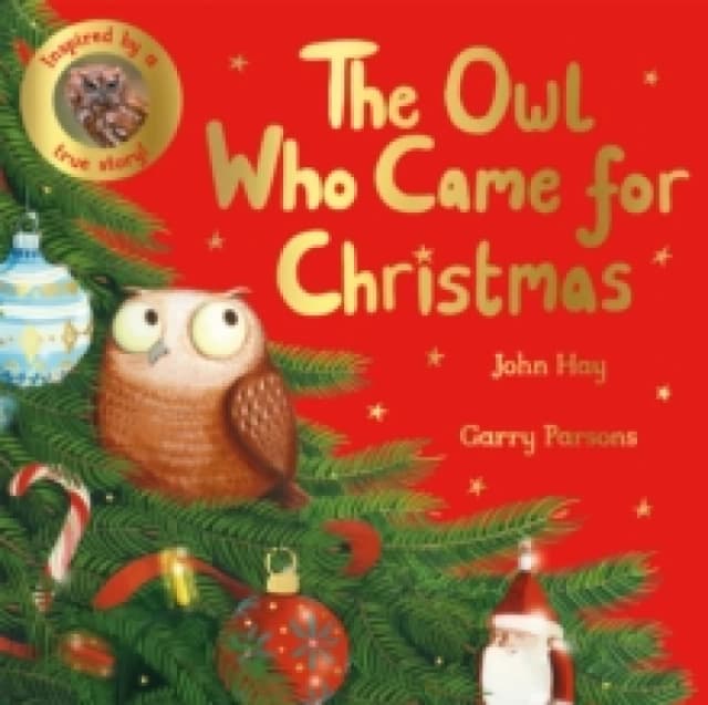 John Hay The Owl Who Came for Christmas Book Multi unisex