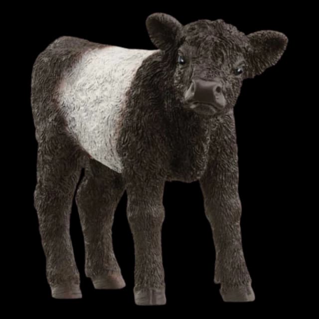 Schleich Galloway Calf Multi unisex