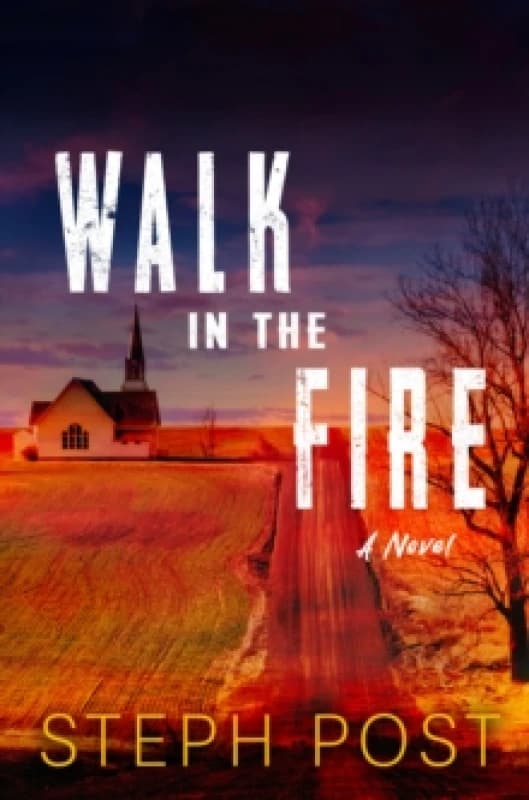 Walk in the Fire Paperback / softback